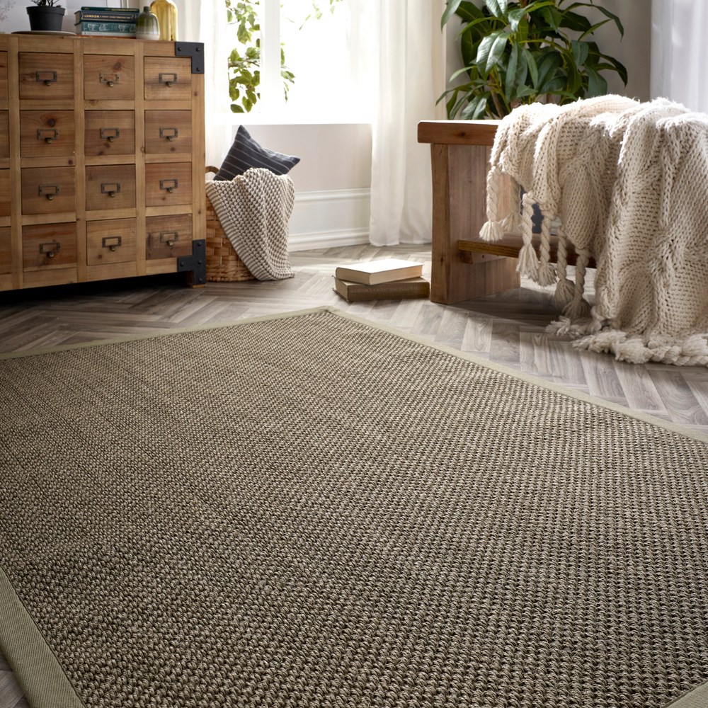 Origins Sisal Woven Border Textured Rug in Sage Green